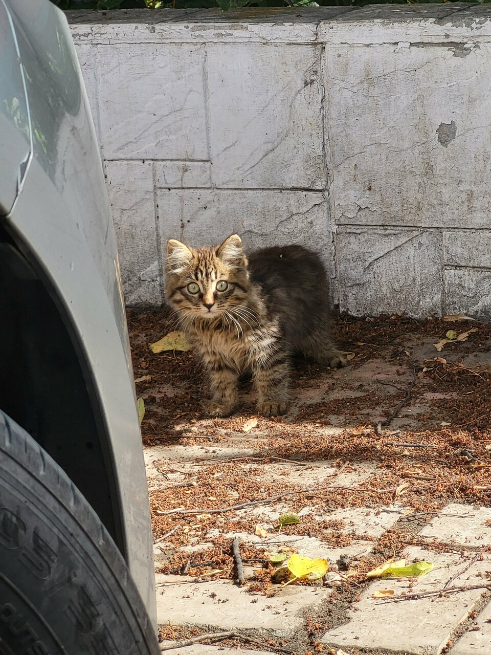 Гостиница ДежаВю Орёл-110