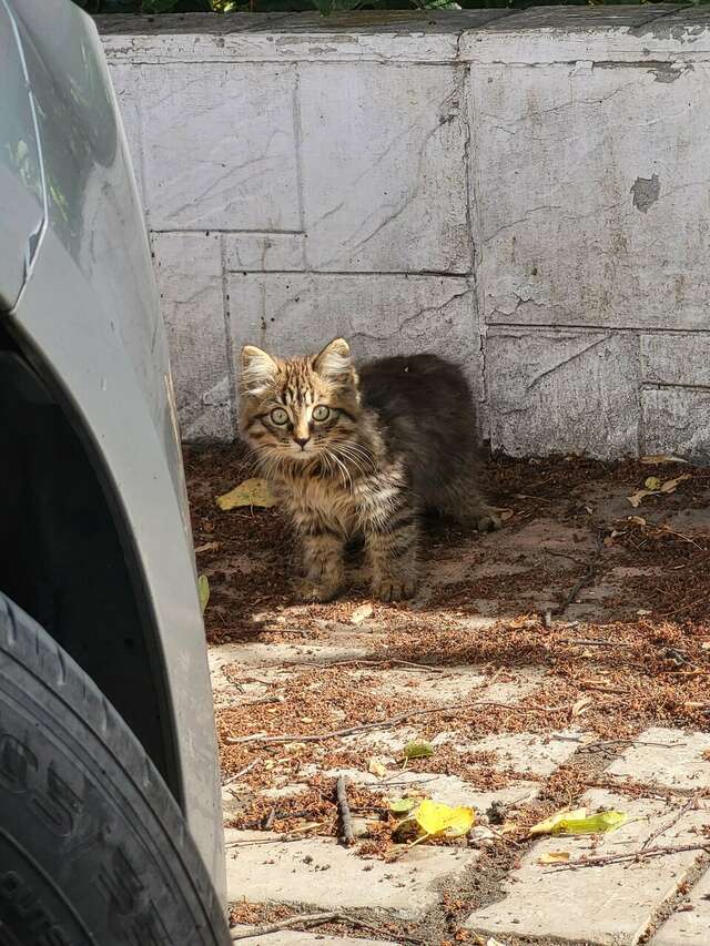 Гостиница ДежаВю Орёл-109